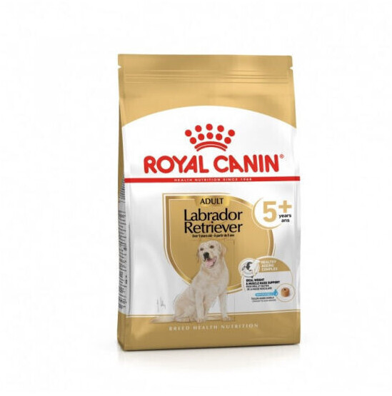Royal canin breed labrador retriever junior online