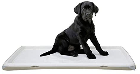Kerbl Toilettes pour chien Kerbl Toilettes pour chien