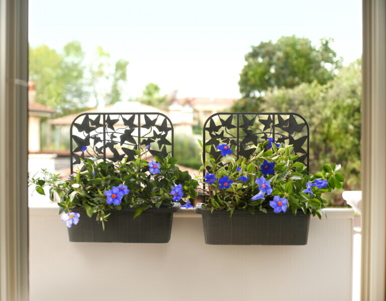 Bama Planter Rondine Privacy 2pcs.