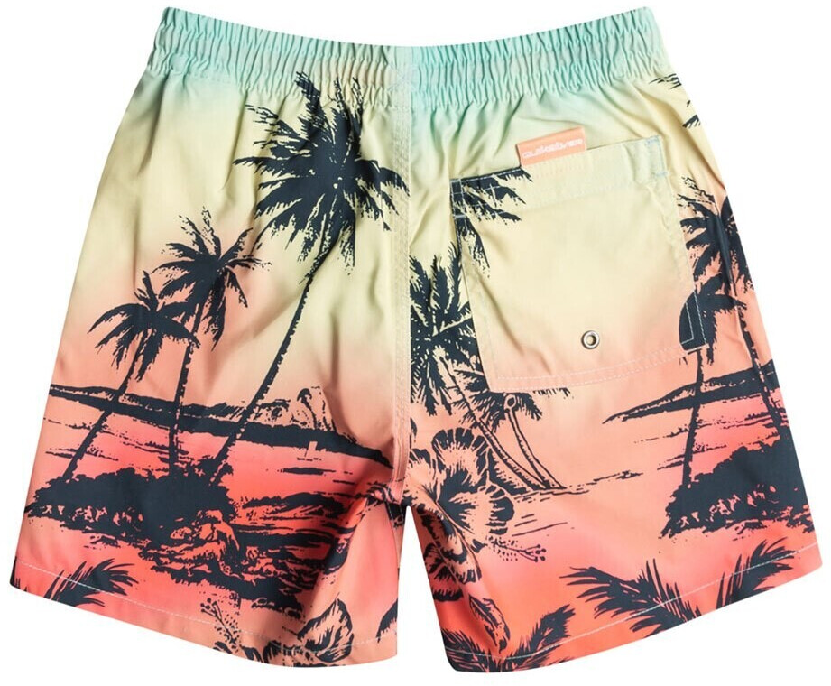 Quiksilver Everyday Paradise youth swim shorts boy (EQBJV03438-GCZ6) orange