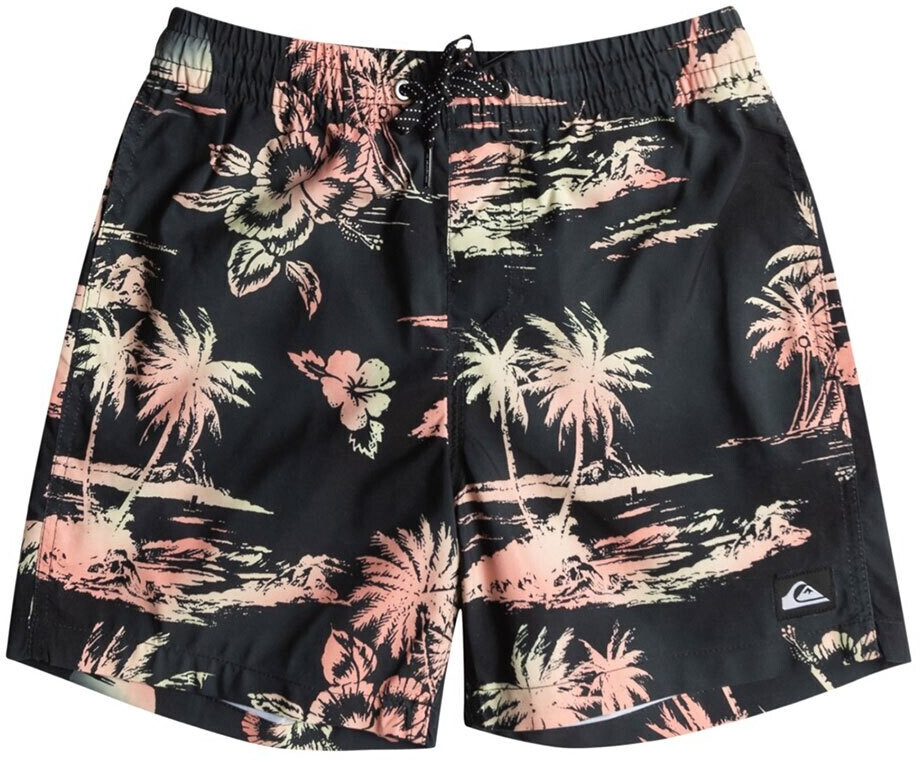 Quiksilver Everyday Mix Volley Youth Swimming Shorts boys (EQBJV03440-KVJ6) blue