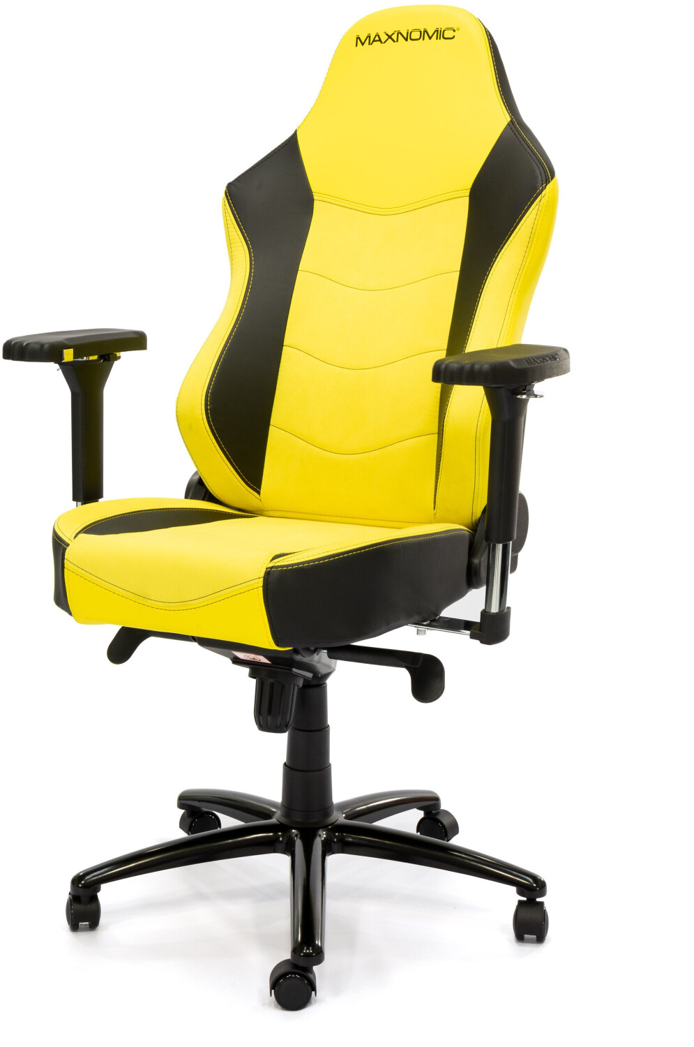 Maxnomic leader sales