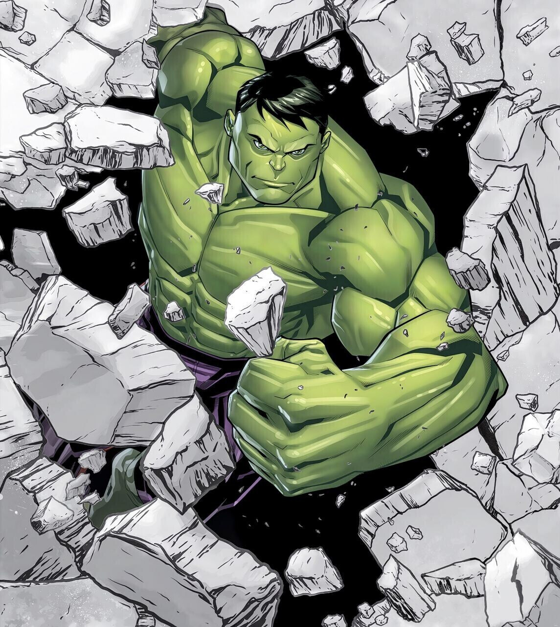 Komar Hulk Breaker 250 x 280 cm (IADX5-060)