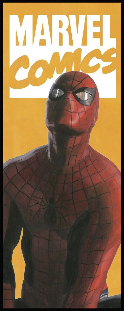 Komar Spider-Man Comic 100 x 250 cm (IADX2-070)