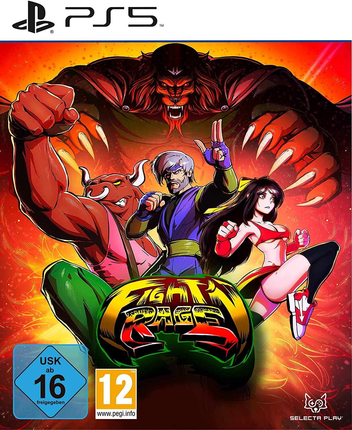Fight'n Rage : 5th Anniversary Limited Edition (PS5)