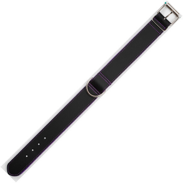 Arppe Collier pour chien M black/purple Arppe Collier pour chien M black/purple
