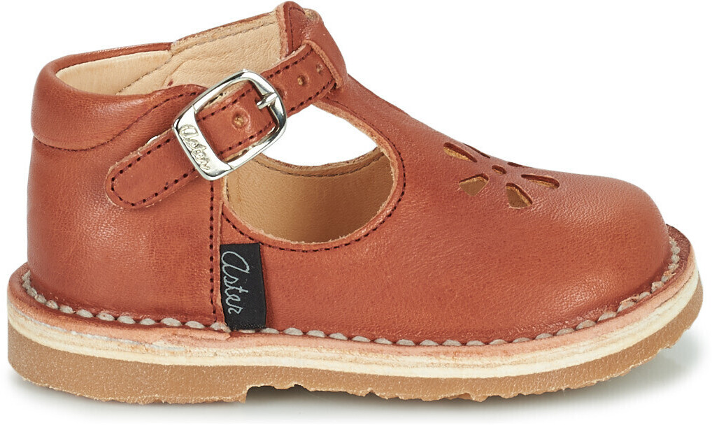 Aster Bimbo red terracotta