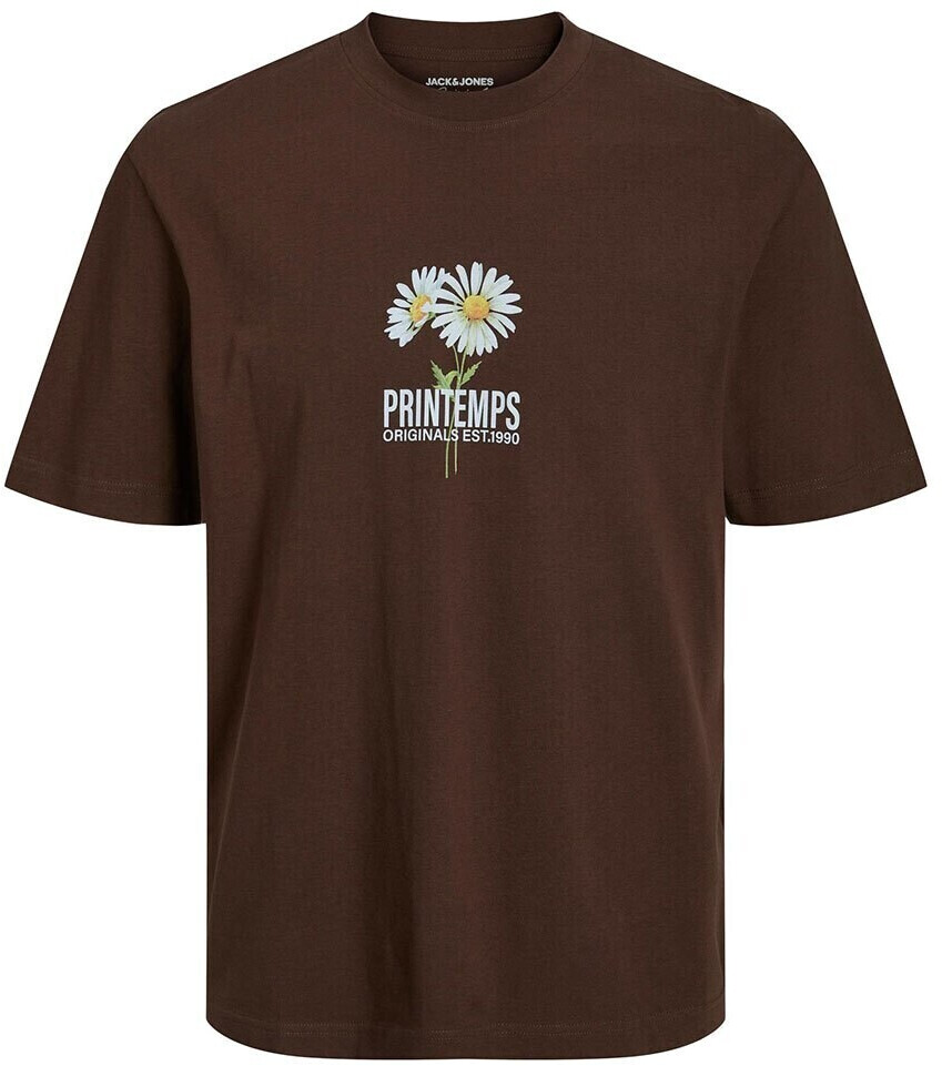 Jack & Jones Flores Back Short Sleeve Crew Neck T-Shirt (12228776) chestnut
