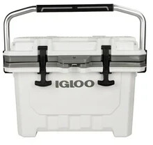 Igloo IMX 24 White