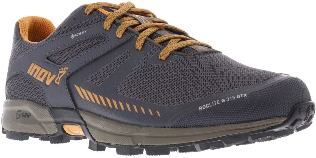 Roclite g clearance 315 gtx men's