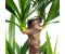 flowerbox Palmlilie 3-stämmig Yucca Elephantipes Palme 60/30/20 95 cm (100W014)