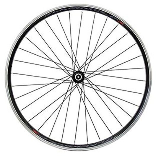 Massi Black Gold 2 Tx-800 (26) Tubeless Mtb Front Wheel black 9 x 100 mm