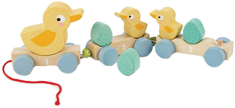 Tender Leaf Toys 7508350