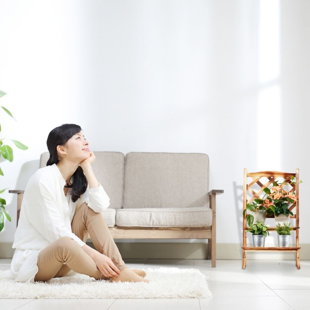 Relaxdays Relaxdays Flower staircase with trellis - back view