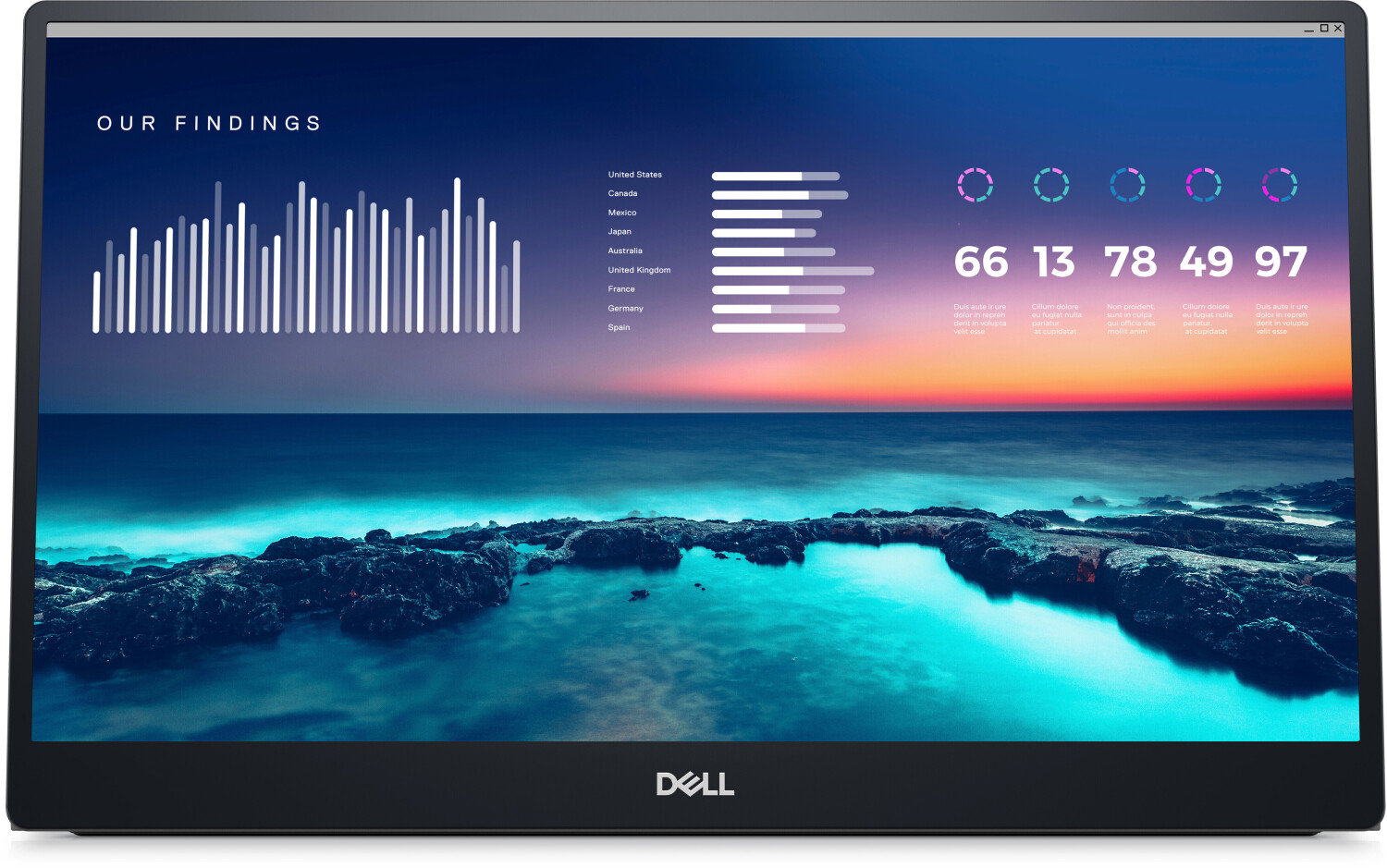 Dell P1424H