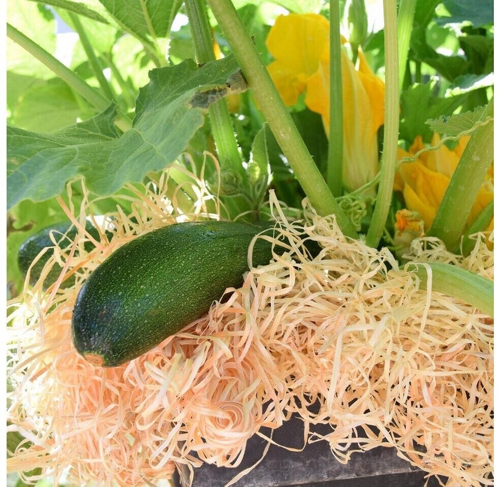 Naturling Naturling Natur Fichte Gemüsewolle - alternate view