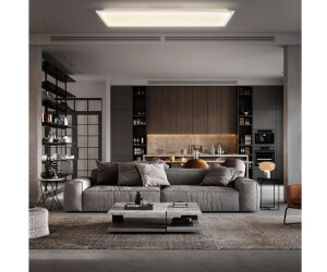B.K.Licht LED Deckenleuchte dimmbar 34,99 24W Preisvergleich | CCT Wohnzimmer ab bei flach Licht indirektes Panel € weiß