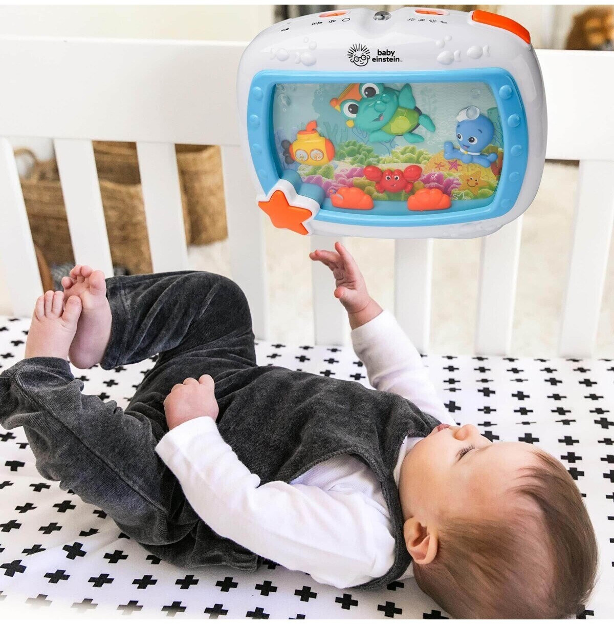 Baby Einstein Aktivitätsspielzeug mit Meerestieren ab 55,49 € (Februar 2024  Preise) | Preisvergleich bei