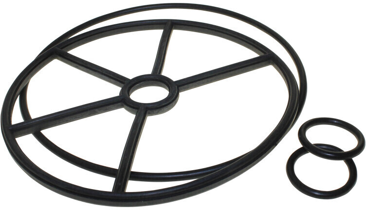 AstralPool Ventildichtungen 1 1/2" NEU