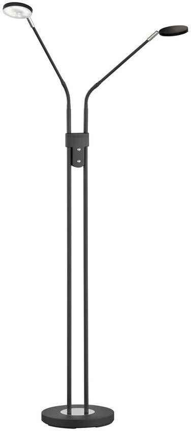 FHL easy Luna 2-fach steuerbar | dimmbar Tunable 840038 6W ab LED 150cm 105,78 white 2x Stehlampe bei Preisvergleich schwarz €