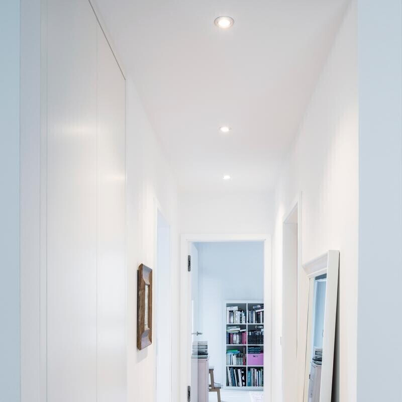 Brumberg 38261253