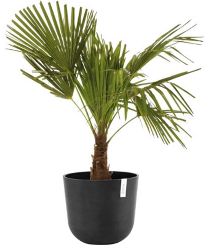 Ecopots Ecopots OSLWR.35.DG - view 11