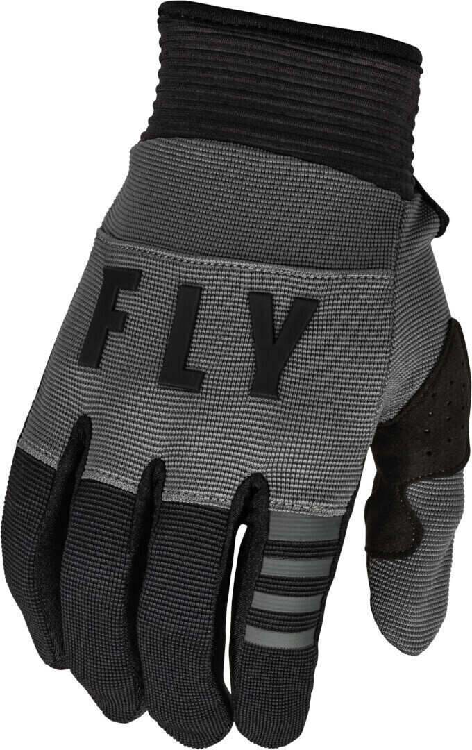 Photos - Motorcycle Gloves FLY Racing F-16  Motocross Gloves black/grey  2023