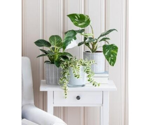 25 étiquettes De Jardin – Marquez Vos Plantes Facilement