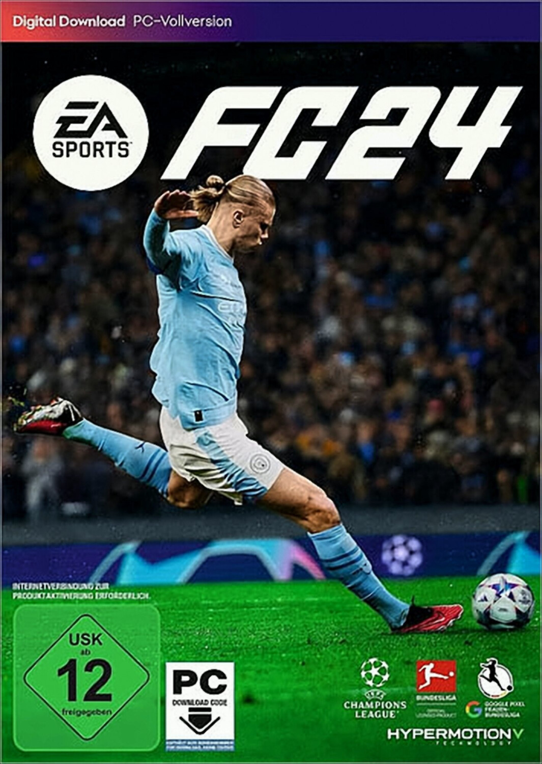 FC 24 (PC)