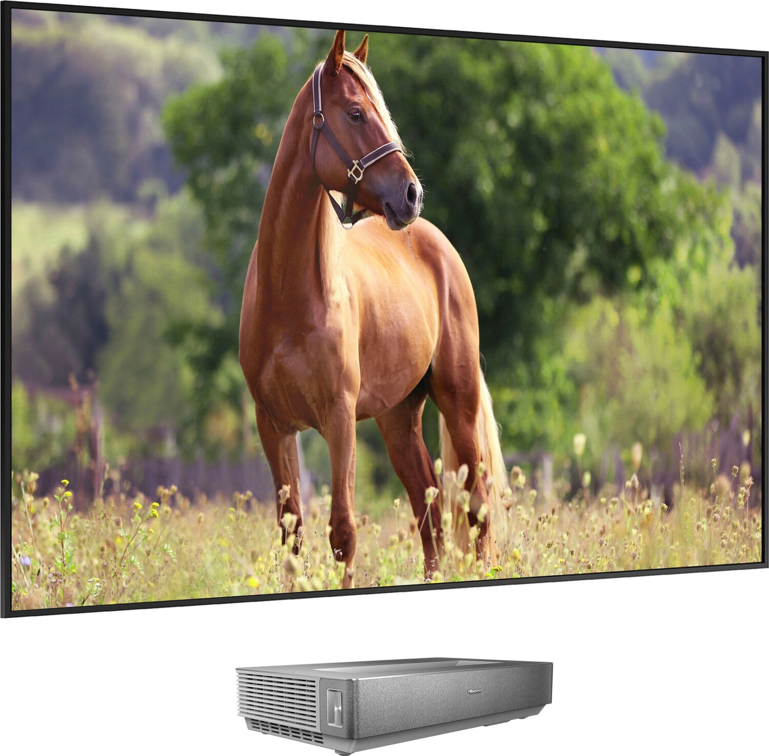 Hisense 100L5HD