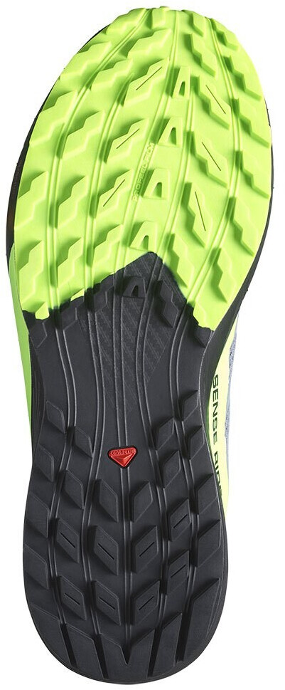 salomon sense ride 2 goretex