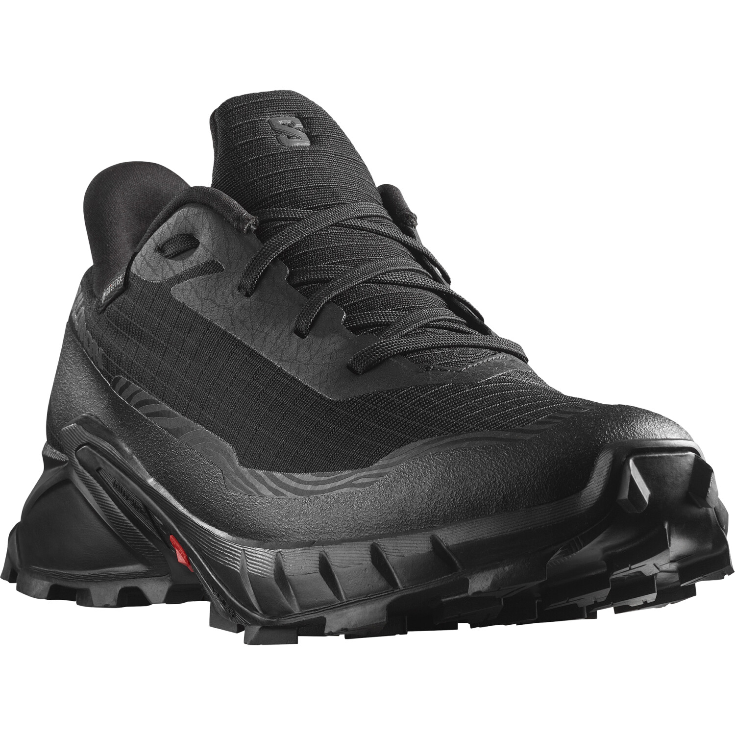 Salomon Alphacross 5 Goretex black Women