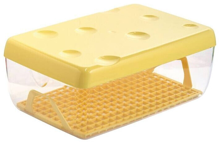Snips Save Cheese container 26 x 17 a € 10,50 (oggi)