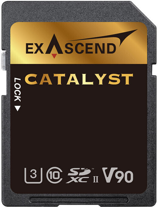Exascend Catalyst SDXC R280/ W100 256 Go