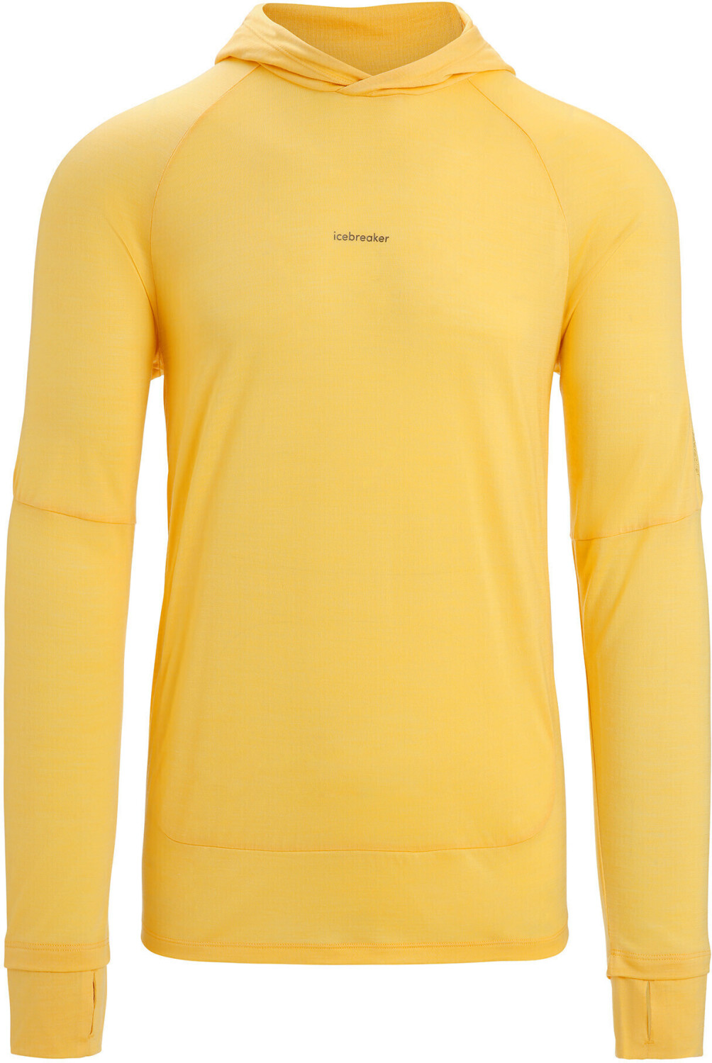 Icebreaker hoodie mens sale sale