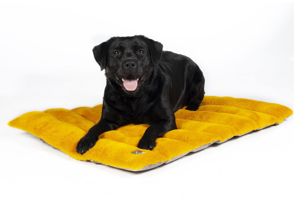HKM Couverture pour chien HKM Couverture pour chien