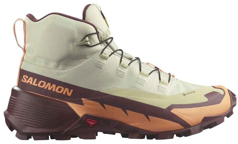 Salomon hikers women's outlet