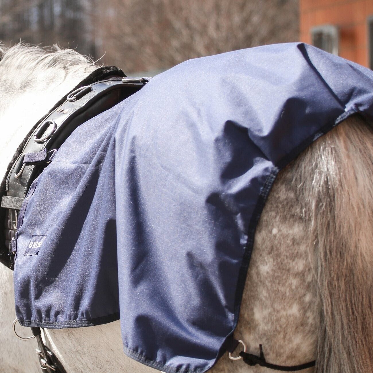 Busse Lunging blanket rain (603283)