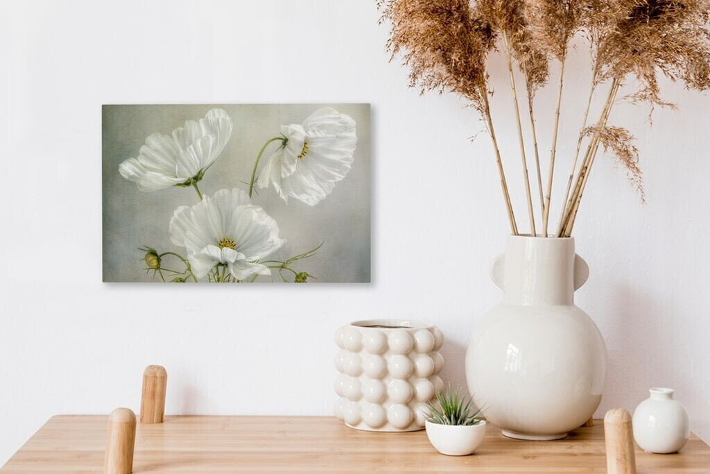 OneMillionCanvasses Blumen Stillleben Mohn Weiß ab Preisvergleich bei 30x20cm 16,95 | € Botanisch