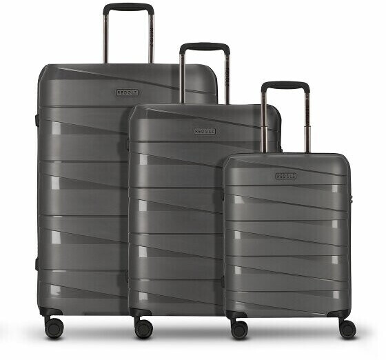 REDOLZ Essentials 10 4-Wheel-Trolley Set 3-pieces grey-metallic 2 (RD12367-4-03)