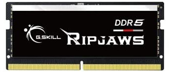 G.Skill Ripjaws 32 Go DDR5-5600 CL40 (F5-5600S4040A32GX1-RS)