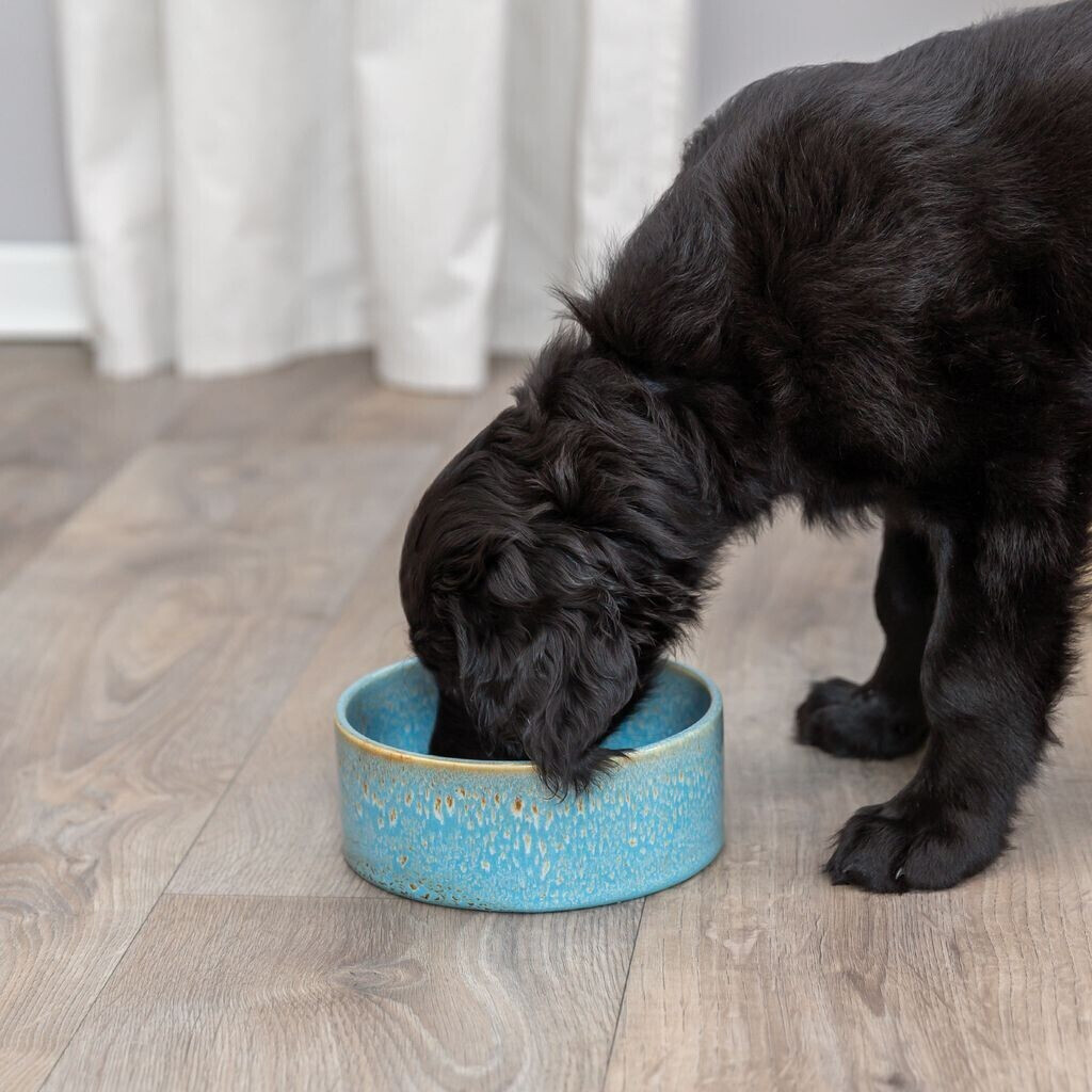 Trixie Gamelle pour chien 25113 Trixie Gamelle pour chien 25113