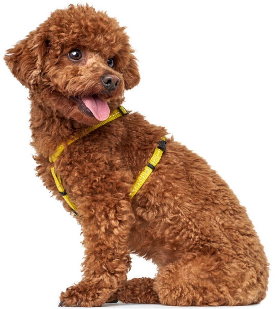 HUNTER Harnais pour chien 69211 HUNTER Harnais pour chien 69211