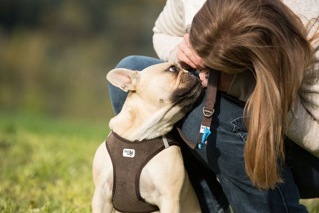 Curli Harnais pour chien brown XS Curli Harnais pour chien brown XS