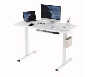Flexispot Basic Plus 100x60cm weiß