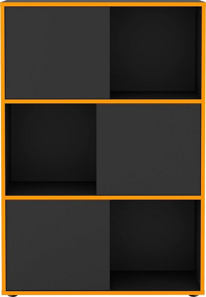 FMD 217-011E