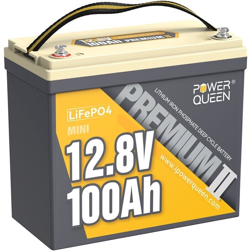 Power Queen P12V100-100-Prem