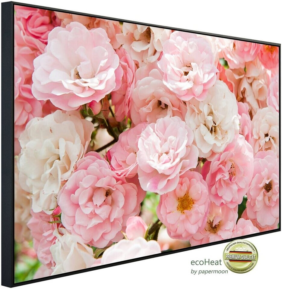 papermoon Infrarot-Bildheizkörper Rosa Rosen 2 (60 x 60 cm, 350 W)