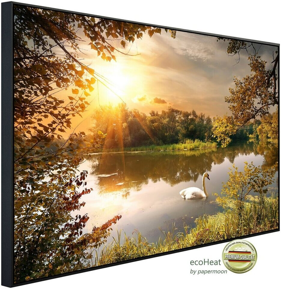 papermoon Infrarot-Bildheizkörper Schwan am Teich (120 x 60 cm, 750 W)