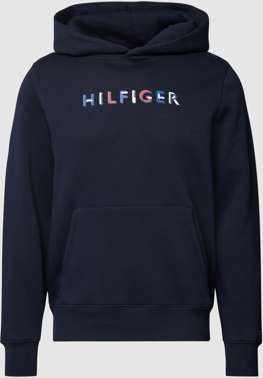 Tommy Hilfiger Hoodie (MW0MW32014) desert sky